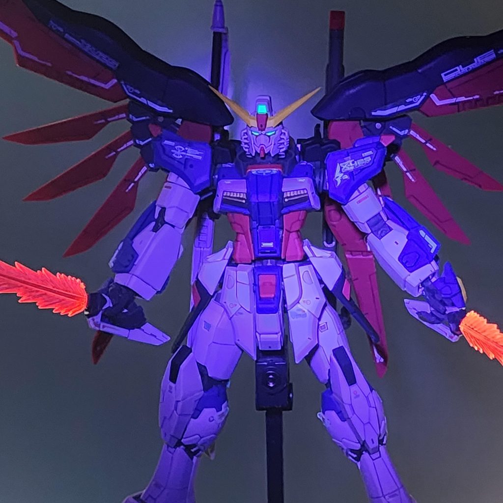 びこーん( ᐛ👐)✨