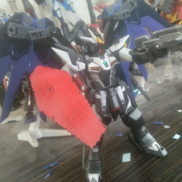 New use for the the Freedom wings