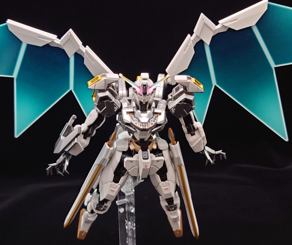 飛行中のイメージのポーズのつもりだけど、しっくりこなかった…ポージングは難しいです。