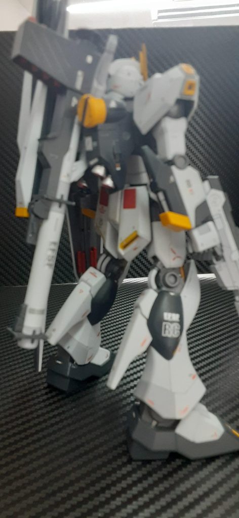 背面ピンぼけしてしまいました