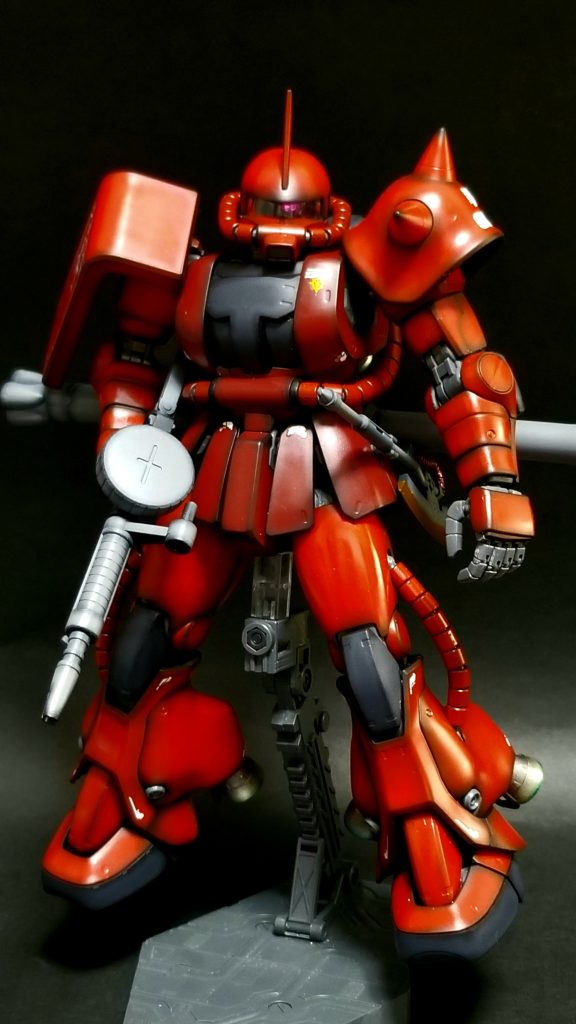 相変わらず写真の方は難しい。反射しないで綺麗に撮る方法、ホント教えて下さい