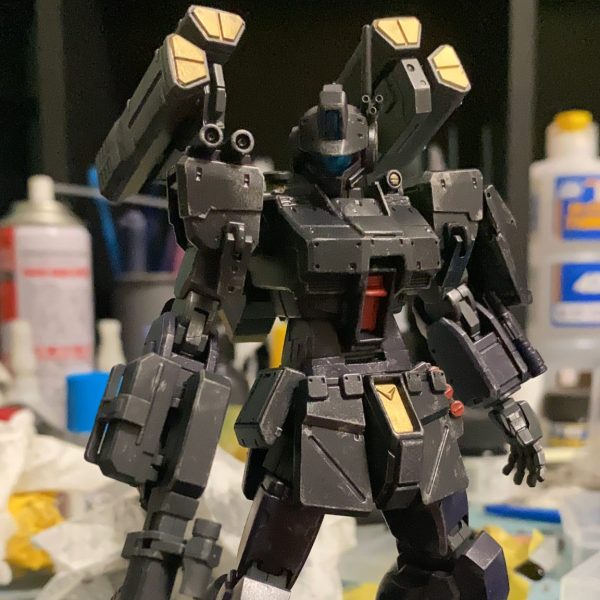 ジムヘビーダン