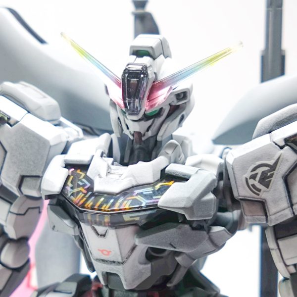 ガンダムキャリバーンTypeD