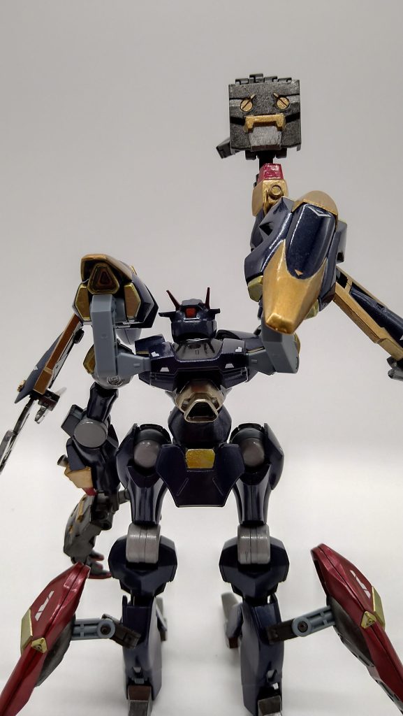 さらにワン◯ースのあのポーズ✊