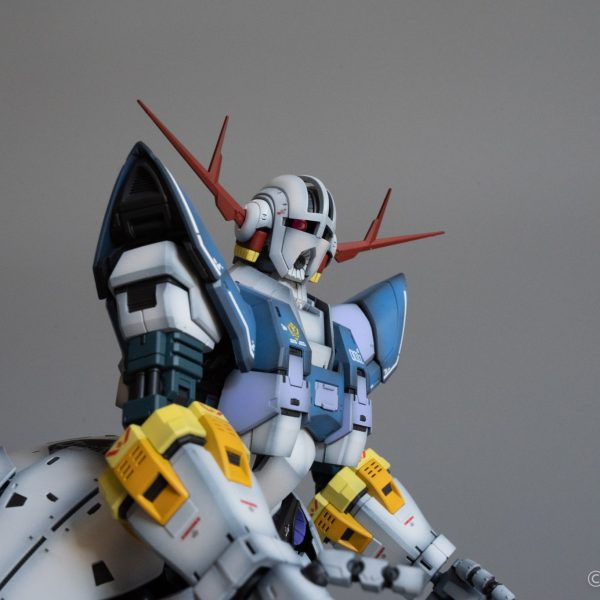 RGジオング　友人用に製作