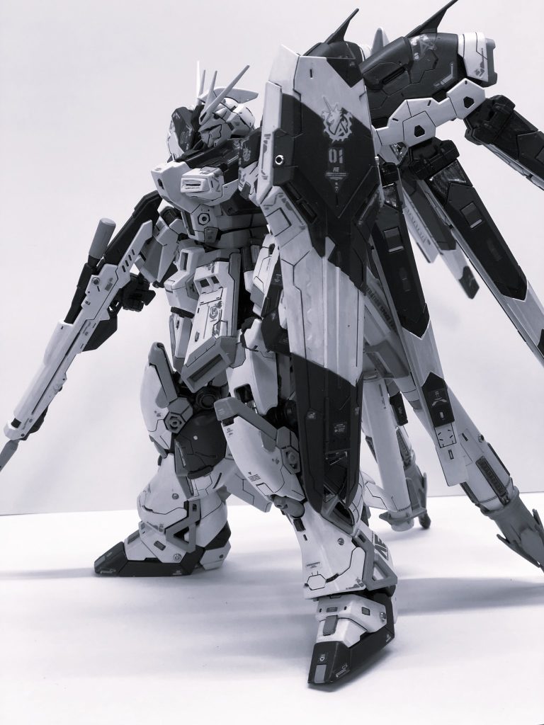 モノクロにしたら格好良くなると聞いて・・・。