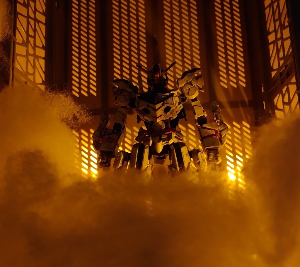 「私の、たったひとつの望み。」