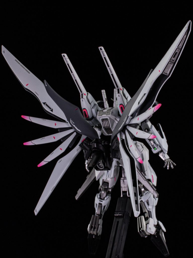 翼オープン　背中