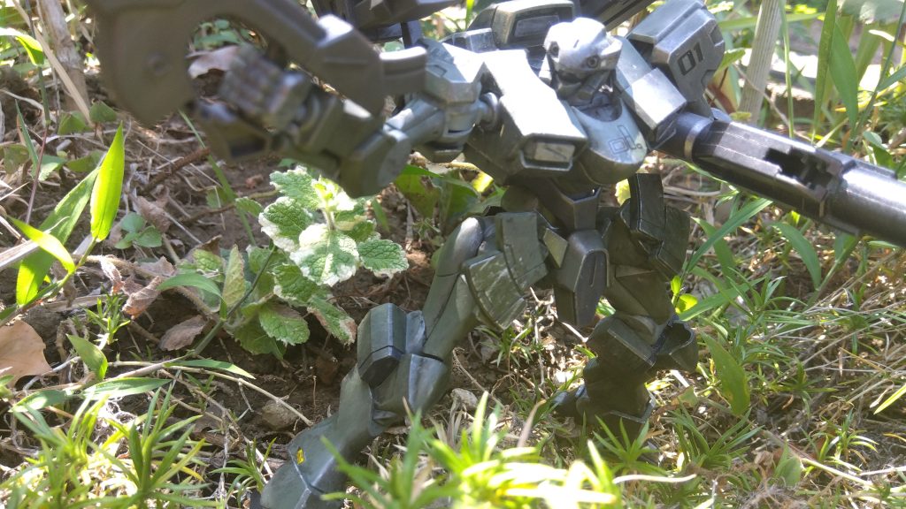 外で撮影しよう（・ω・）