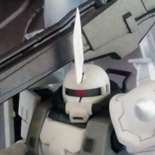 HG 高機動型ザクⅡ 06R-1A 《オオカ・ミシロ中尉専用機》