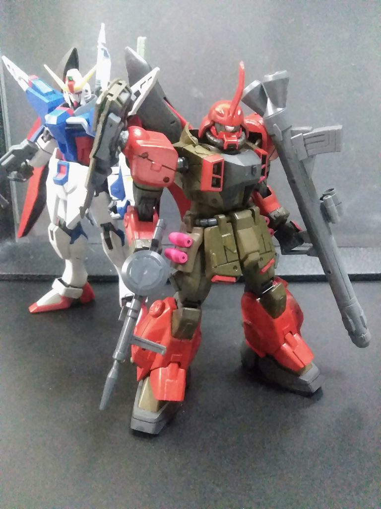 目指したのは｢ HGCE ｣のクオリティだけど　技量不足を痛感させられます😭💦