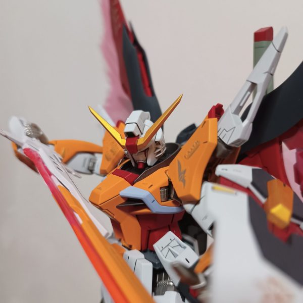 MG デスティニーガンダム　Ver.ハイネカラー