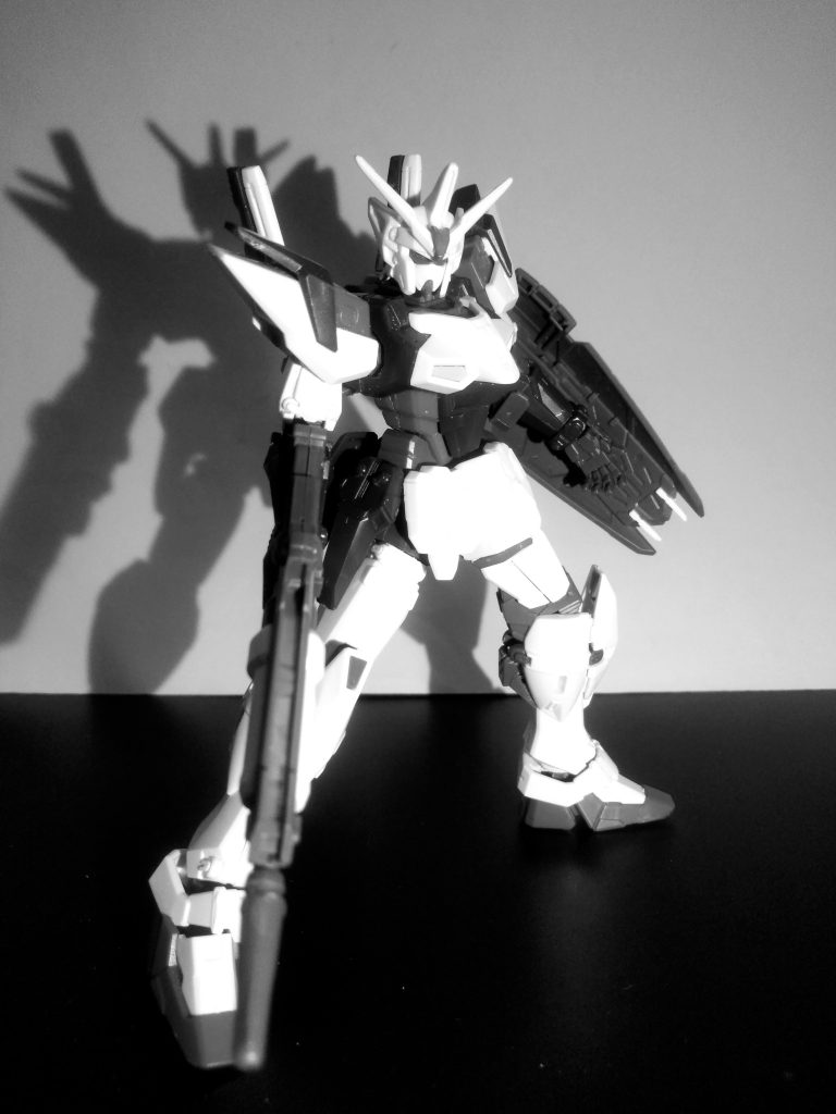 Next time preview                      『GUNDAM GEMINASS 01 ❓』                      お目汚し ありがとうございました。