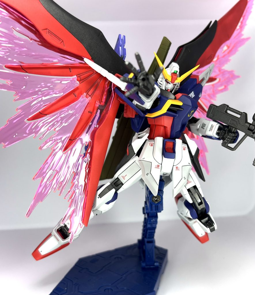 翼も美しい…！！