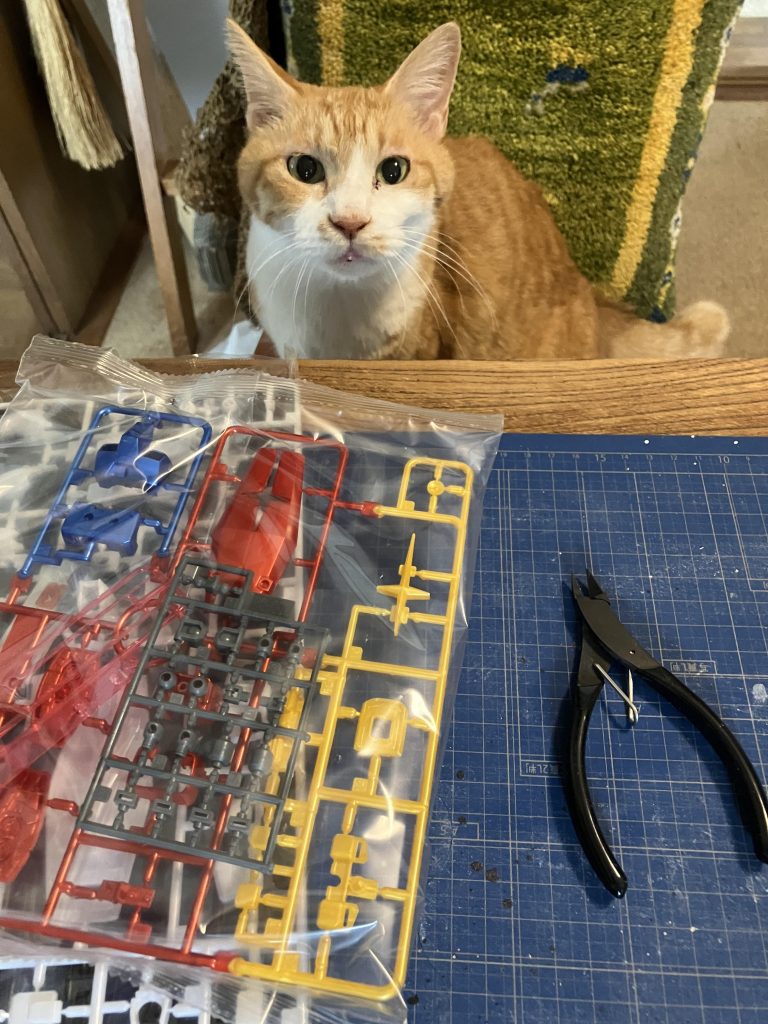 最後まで、ご覧いただきありがとうございました😊