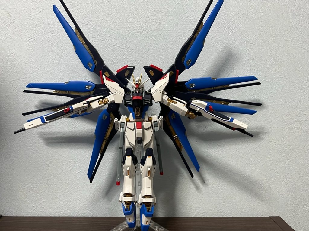 ドラグーン展開