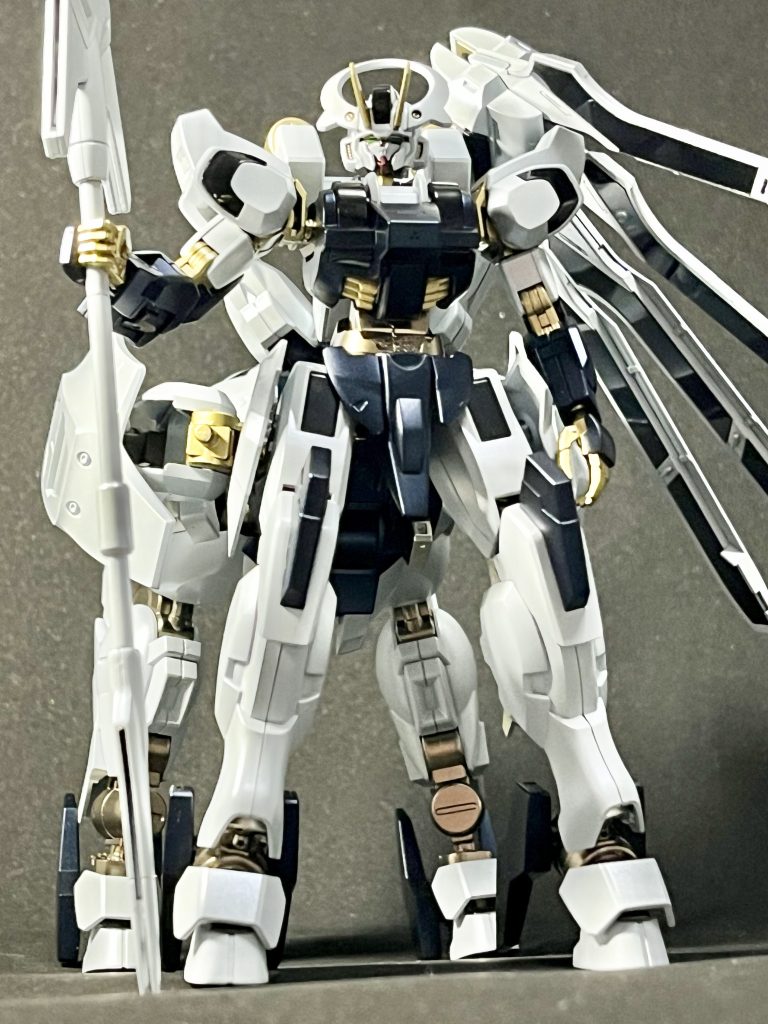 見上げる画角から演武を見に来た観客目線といった感じでしょうか