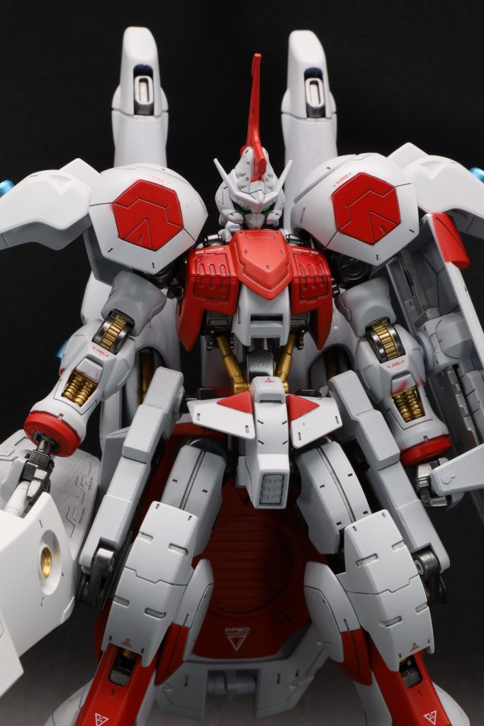 正面ショット。内部フレームはエアブラシを用いて一部塗分けしました。