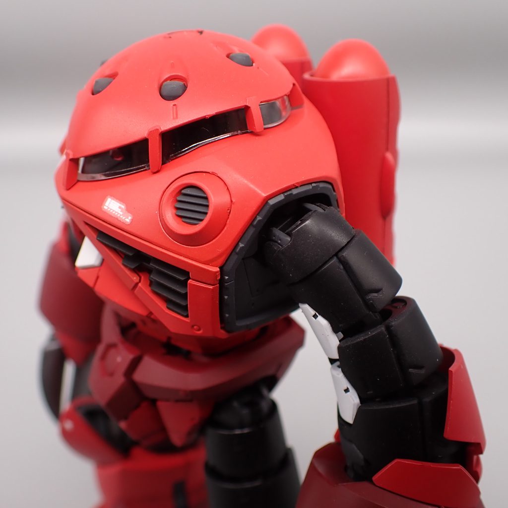 ズゴック　シャア専用機–4枚目/制作者：アンジェロのプラモデル工房