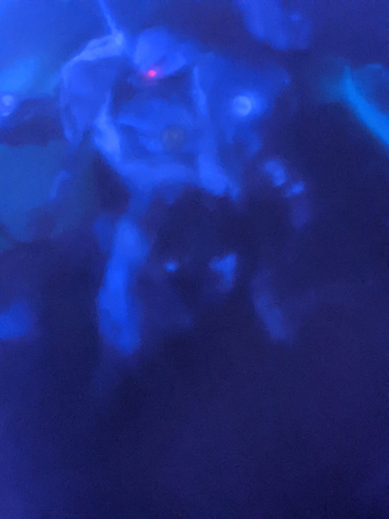 「このクソｵｵｵｯ！！！！！！？！！！！」戦火の炎にマシンガンを放つ2番機…。「居ない…！？いやｯ居るのに!!!!」言葉にならない怒りが湧くが、ぶつける事が出来ない。「こ……このクソｯタレがｯ……ｧ」2番機が倒れた。相手に向けて放つ怒りの声は……その声が………断末魔になった。みれば散弾を撃ち込まれたような穴がコックピットにある。そう、ど真ん中に……。