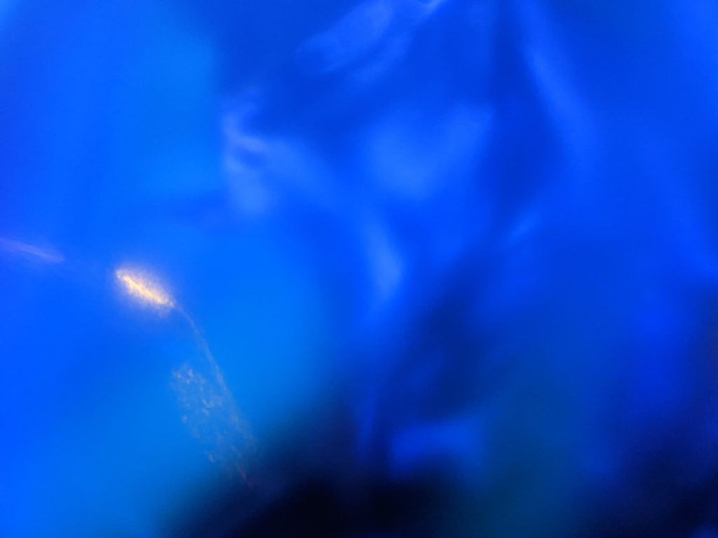 「星が……綺麗だな…、」