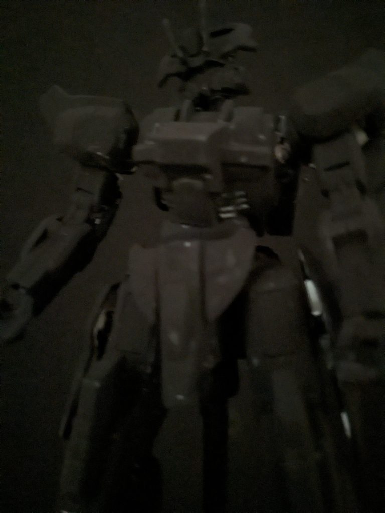 最後はなんか渋いショットにはなったけど。