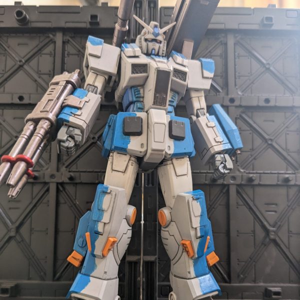 MSD ジム・ドミナンス