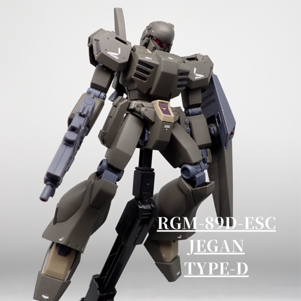 ジェガン護衛機