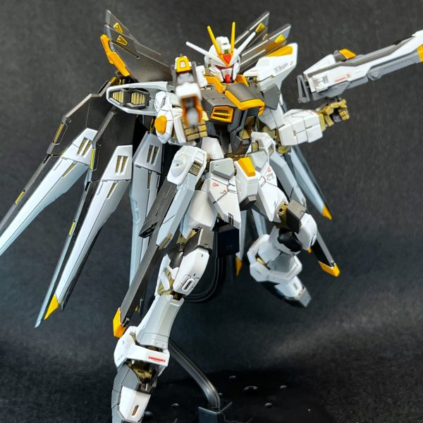 RG ストライクフリーダムガンダム