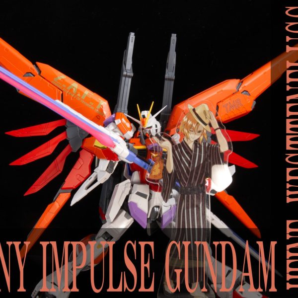 緋色の衝動-ハイネ専用デスティニーインパルス-