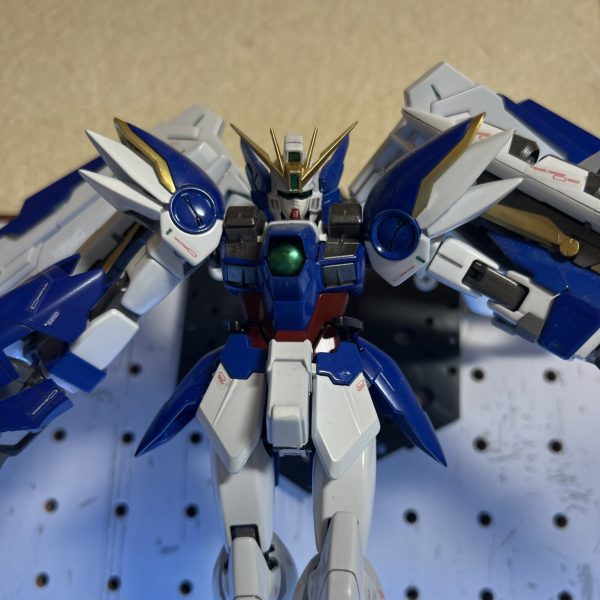 うちのウィング達