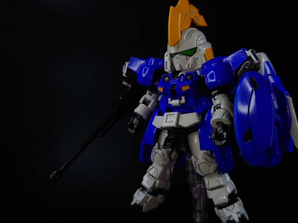 やや斜め前から、ちょっと暗すぎたかなと思ってます