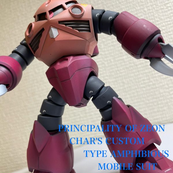 HG シャア専用ズゴック