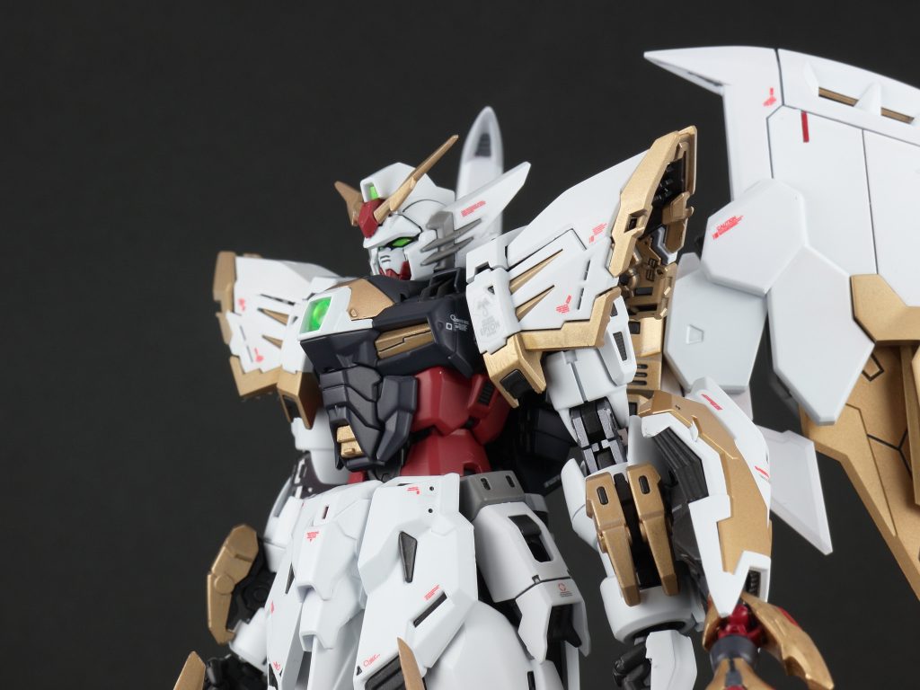 RG 1/144 ガンダムエピオン–4枚目/制作者：SAT