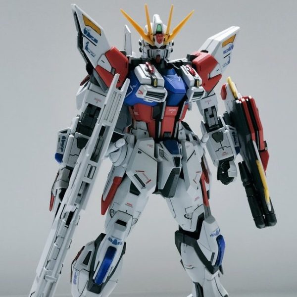 2025年最新】ビルドストライク mgの人気アイテム - メルカリ