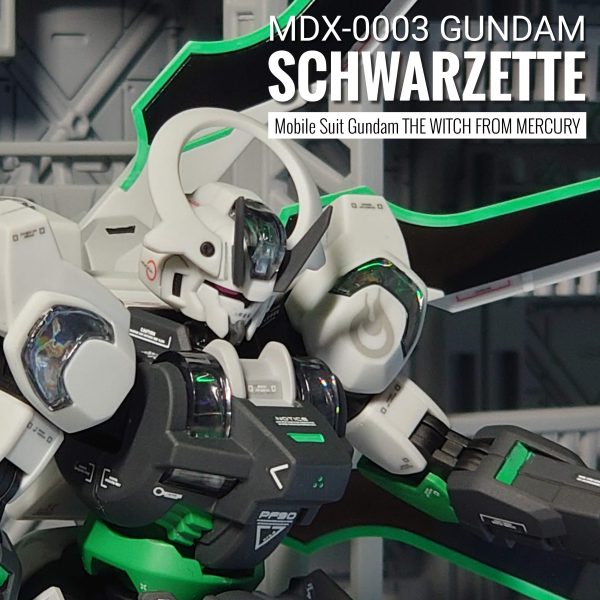 SCHWARZETTE【GreenBit】