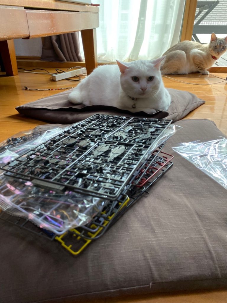 ぱち組みの風景にゃんずはプラモが好きらしい僕は自称犬派w