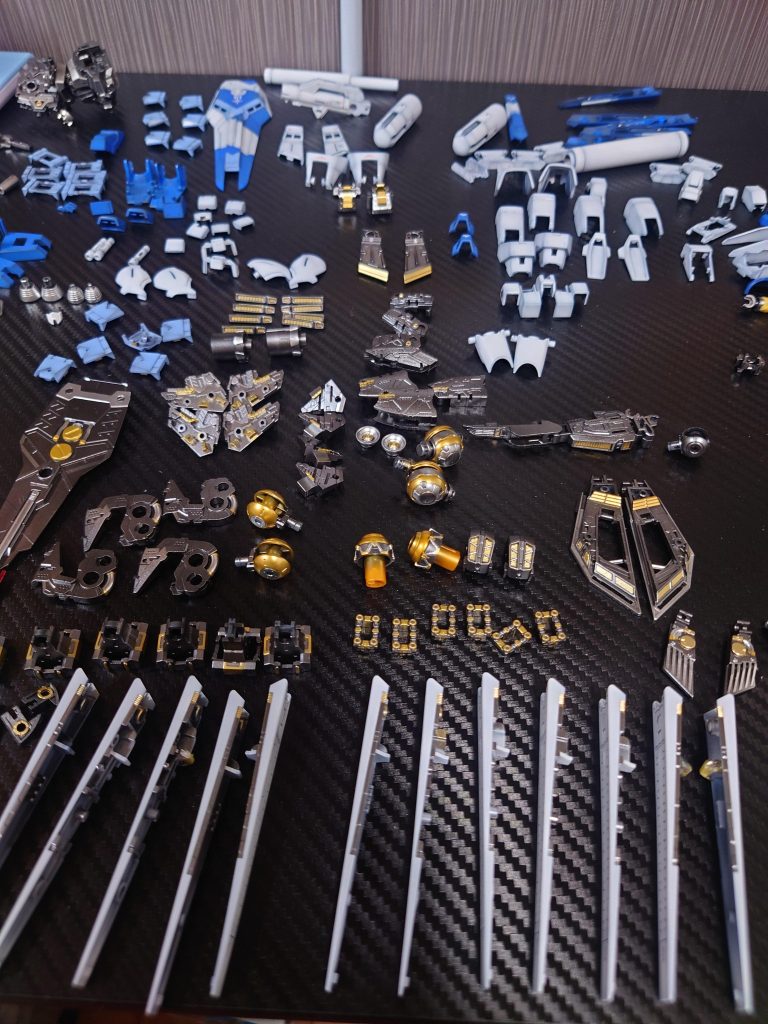 たくさん塗り分けした