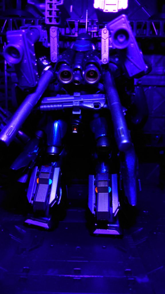 いつもの通り蛍光で発色させています。