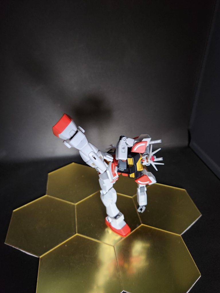 ウチのエントリーグレードはもれなくハイキック可能ですわぁ