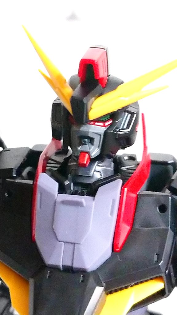 口周りをグレー、首をファントムグレー、アゴをレッド、爪をシルバーに塗装しました。