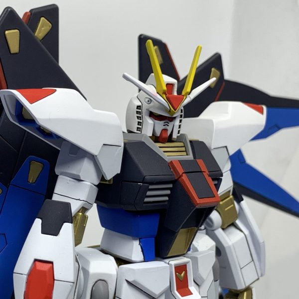 EG RX-78-2 Ver Strike Freedom
