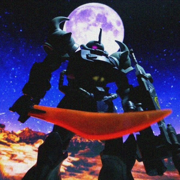 HGUCグフカスタム(ｷﾞﾚﾝ暗殺風)