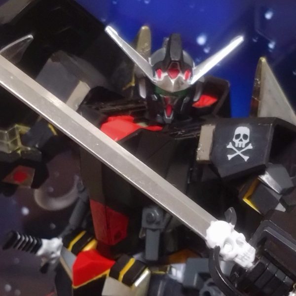 海賊女の良き相棒　『キュラサメ』