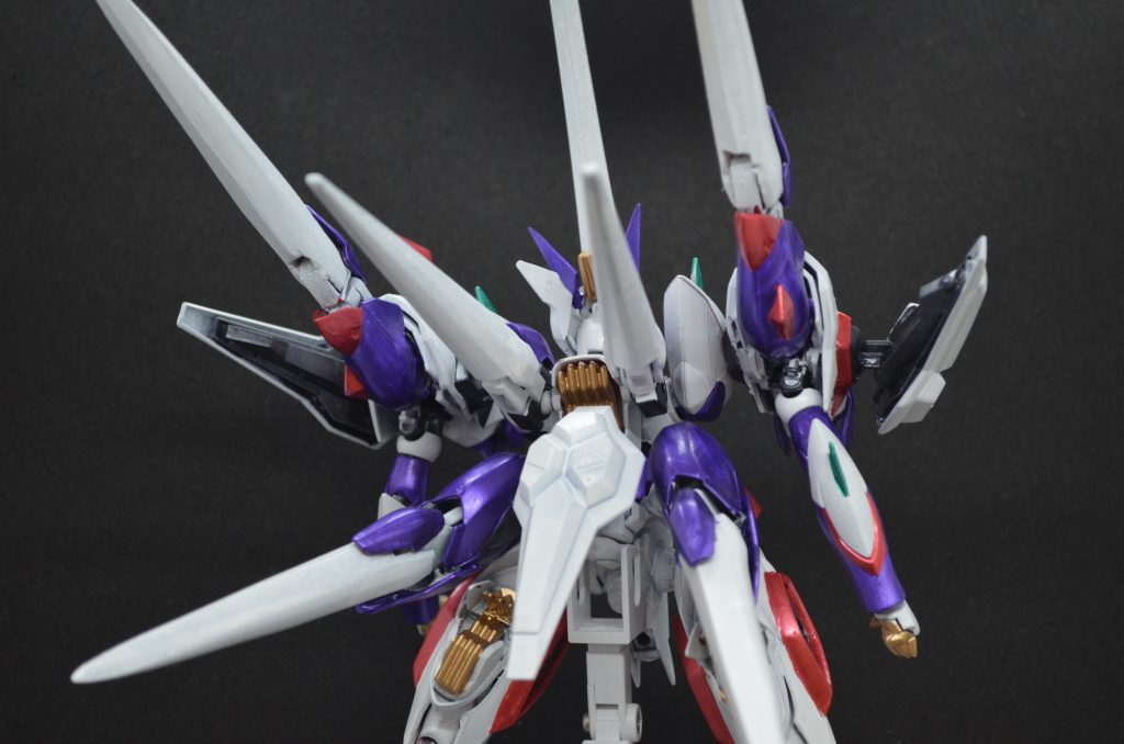 背中のアップ。