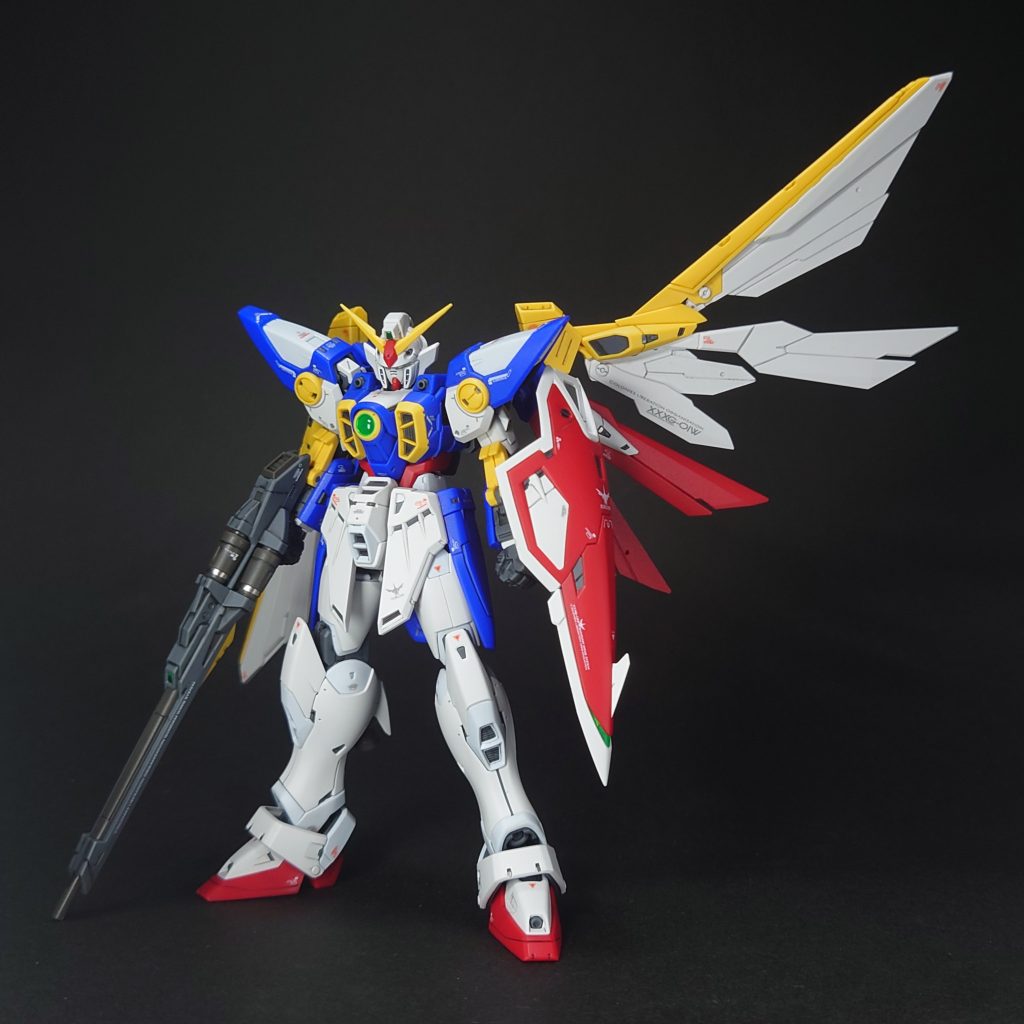 基本巣立ちなんですが、片翼を広げて見ました。