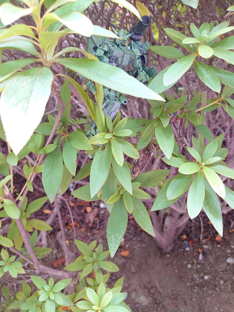 草木に紛れての射撃