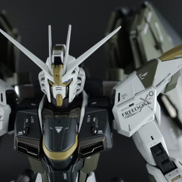 リアルタイプ　フリーダムガンダム