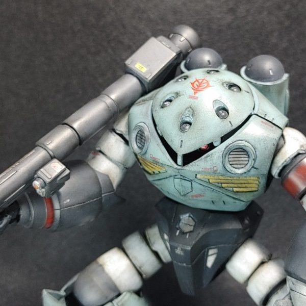 ズゴック(現地改修機)