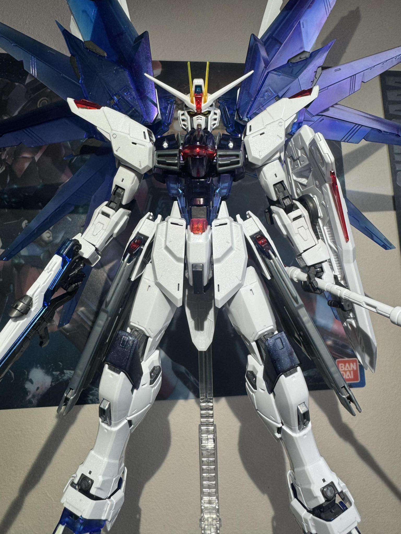 MG フリーダムガンダムver2.0 ソリッドクリア｜Koki Sonodaさんの 